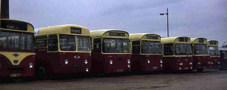 Red Rover AEC Swift Willowbrook 101